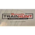 Hornady Train Hunt 20 Schuss